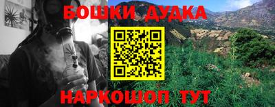 крисы Северобайкальск