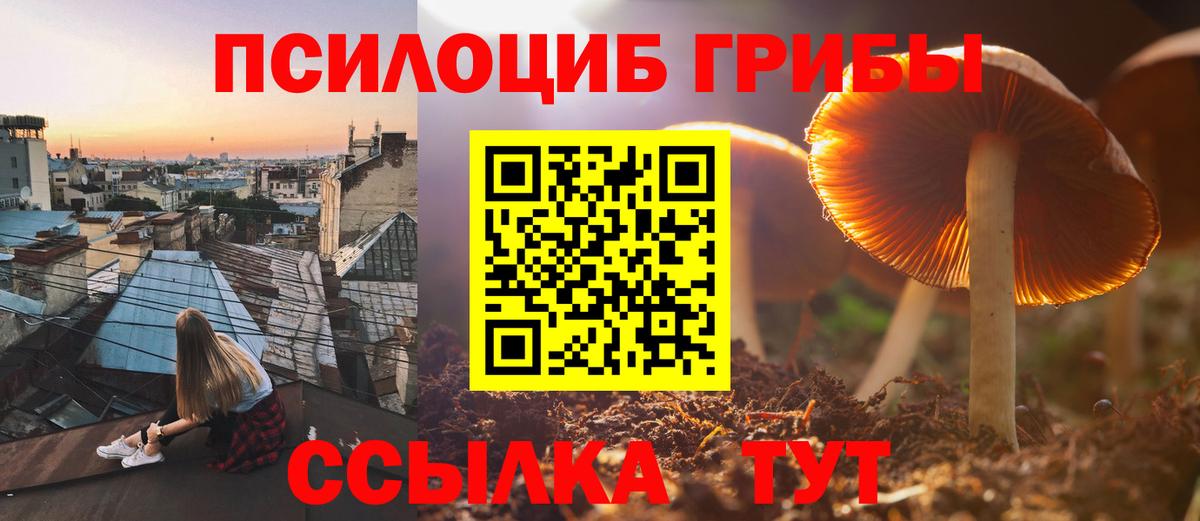 Галлюциногенные грибы Cubensis Реутов